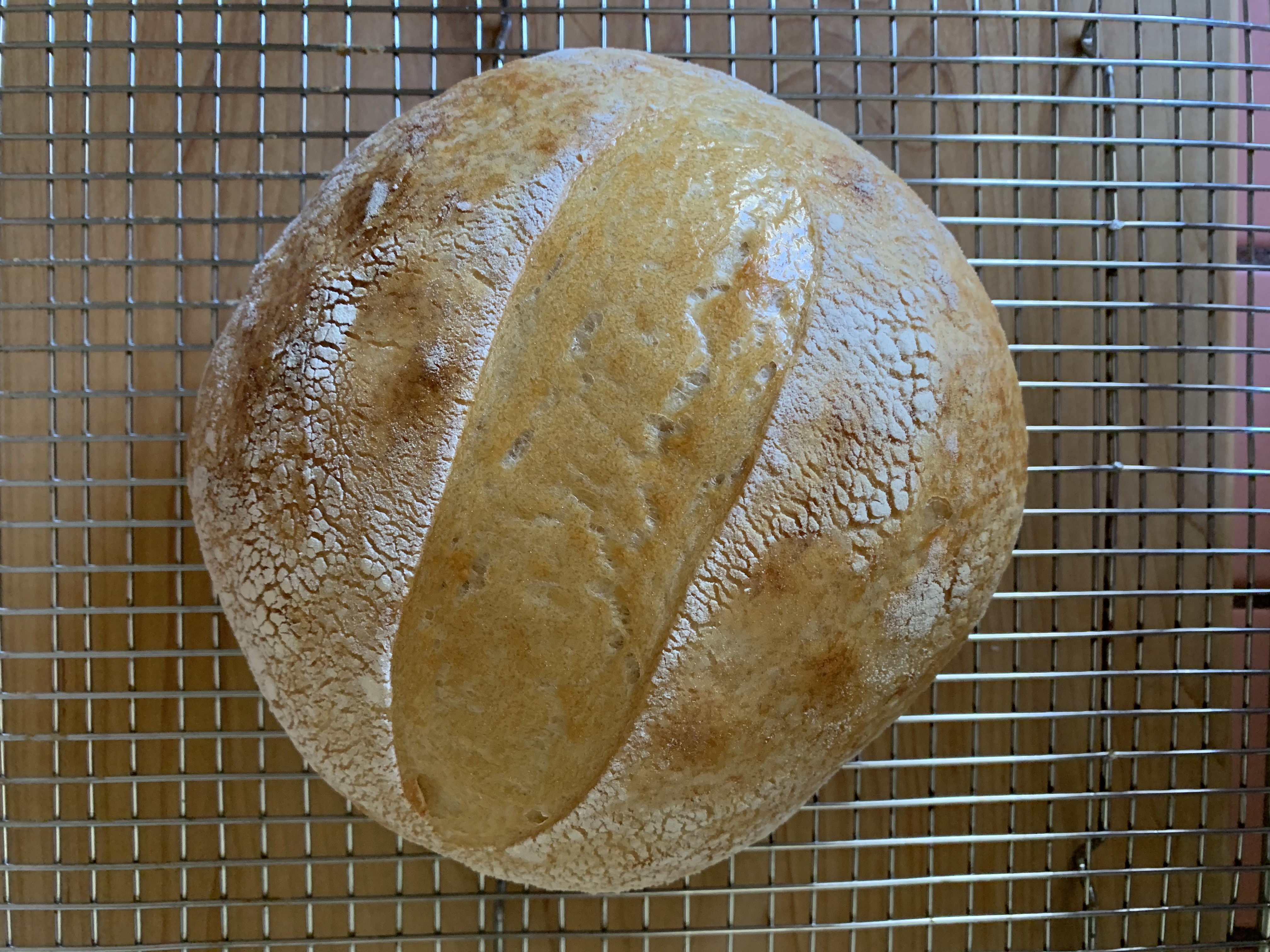 Bread